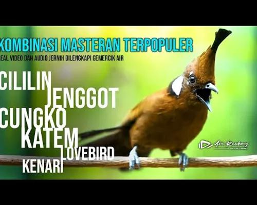 Thumbnail KOMPILASI MASTERAN TERPOPULER KUNCIAN SANG JUARA | ADA JEDA DAN TERAPI AIR