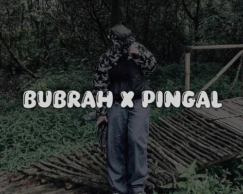 Thumbnail BUBRAH X PINGAL